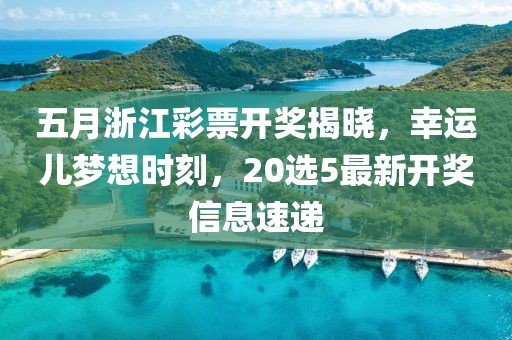 萌面人