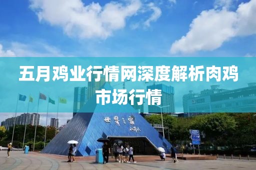 五月雞業(yè)行情網(wǎng)深度解析肉雞市場行情