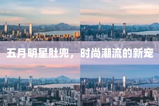 五月明星肚兜，時(shí)尚潮流的新寵