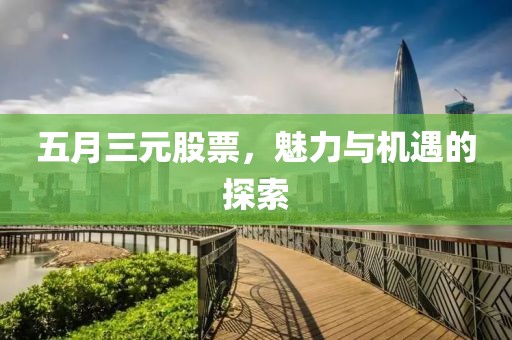 五月三元股票，魅力與機(jī)遇的探索