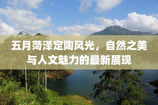 第5頁