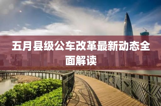 五月縣級公車改革最新動(dòng)態(tài)全面解讀