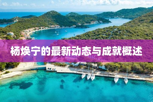 楊煥寧的最新動態(tài)與成就概述