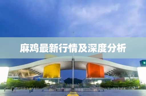麻雞最新行情及深度分析