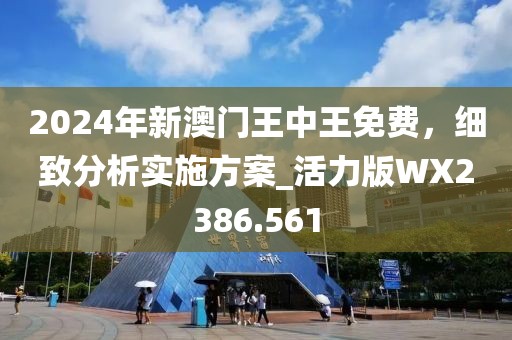 2024年新澳門王中王免費，細致分析實施方案_活力版WX2386.561