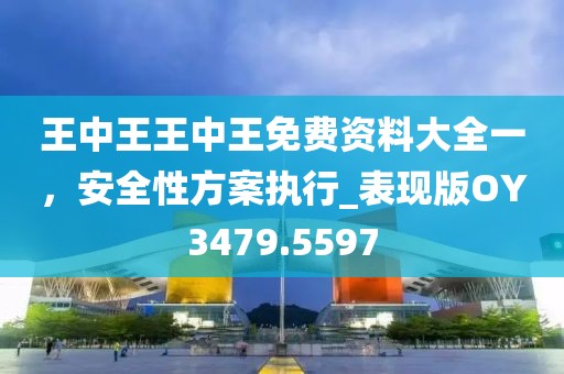 王中王王中王免費(fèi)資料大全一，安全性方案執(zhí)行_表現(xiàn)版OY3479.5597
