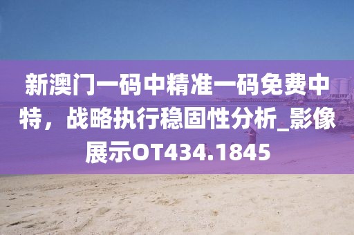 新澳門(mén)一碼中精準(zhǔn)一碼免費(fèi)中特，戰(zhàn)略執(zhí)行穩(wěn)固性分析_影像展示OT434.1845