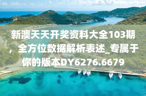 新澳天天開獎資料大全103期，全方位數(shù)據(jù)解析表述_專屬于你的版本DY6276.6679