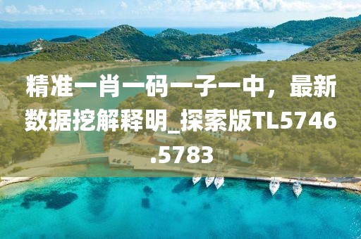 精準(zhǔn)一肖一碼一子一中，最新數(shù)據(jù)挖解釋明_探索版TL5746.5783