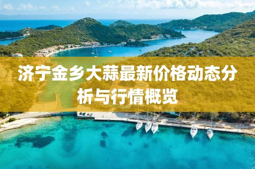 濟寧金鄉(xiāng)大蒜最新價格動態(tài)分析與行情概覽