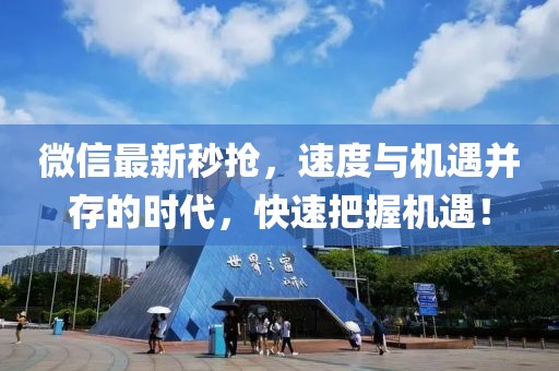 微信最新秒搶，速度與機(jī)遇并存的時(shí)代，快速把握機(jī)遇！