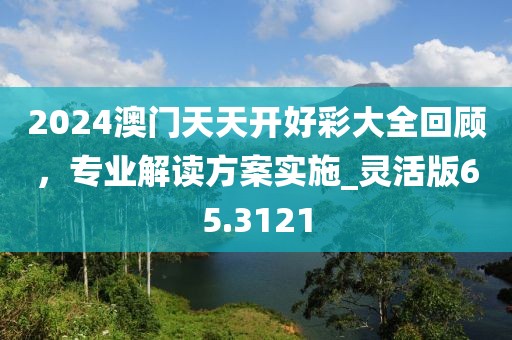 2024澳門天天開好彩大全回顧，專業(yè)解讀方案實施_靈活版65.3121