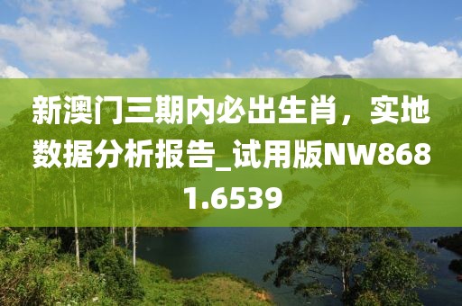 新澳門三期內(nèi)必出生肖，實(shí)地?cái)?shù)據(jù)分析報(bào)告_試用版NW8681.6539