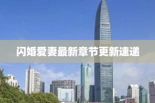閃婚愛妻最新章節(jié)更新速遞