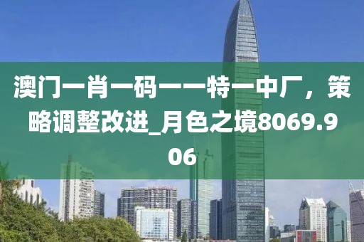 澳門一肖一碼一一特一中廠，策略調(diào)整改進_月色之境8069.906
