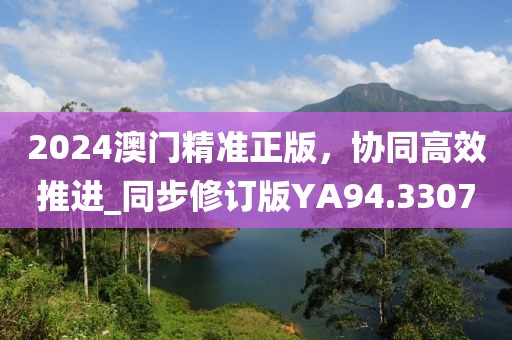 2024澳門精準(zhǔn)正版，協(xié)同高效推進(jìn)_同步修訂版YA94.3307