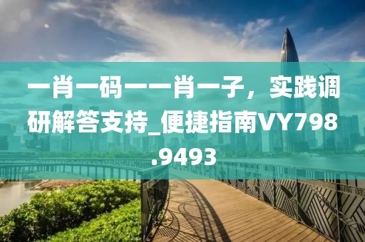 一肖一碼一一肖一子，實踐調(diào)研解答支持_便捷指南VY798.9493