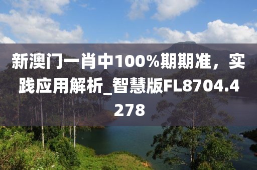 新澳門(mén)一肖中100%期期準(zhǔn)，實(shí)踐應(yīng)用解析_智慧版FL8704.4278