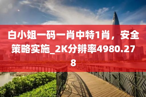 白小姐一碼一肖中特1肖，安全策略實施_2K分辨率4980.278