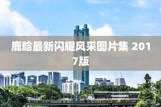 鹿晗最新閃耀風(fēng)采圖片集 2017版
