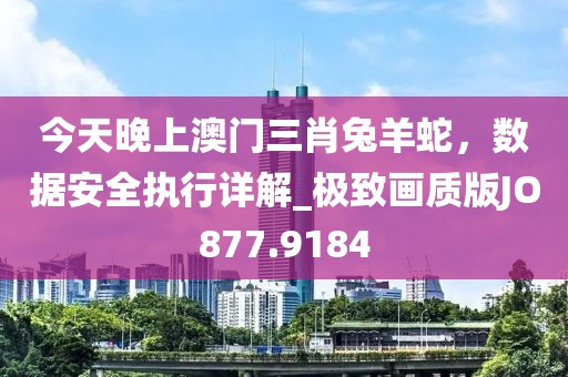 今天晚上澳門三肖兔羊蛇，數(shù)據(jù)安全執(zhí)行詳解_極致畫質(zhì)版JO877.9184