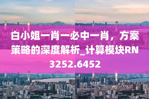 白小姐一肖一必中一肖，方案策略的深度解析_計(jì)算模塊RN3252.6452