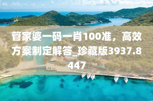 管家婆一碼一肖100準，高效方案制定解答_珍藏版3937.8447