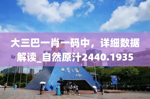 大三巴一肖一碼中，詳細(xì)數(shù)據(jù)解讀_自然原汁2440.1935