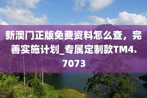 新澳門正版免費資料怎么查，完善實施計劃_專屬定制款TM4.7073