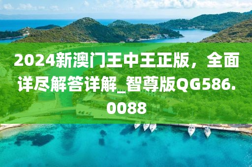 2024新澳門王中王正版，全面詳盡解答詳解_智尊版QG586.0088