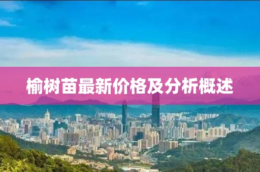 榆樹苗最新價格及分析概述