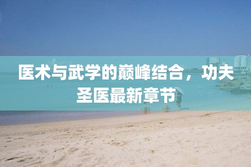 醫(yī)術(shù)與武學(xué)的巔峰結(jié)合，功夫圣醫(yī)最新章節(jié)