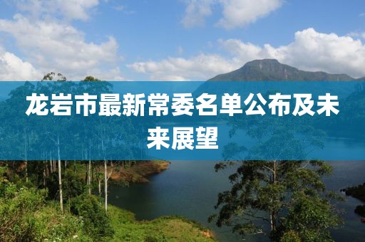龍巖市最新常委名單公布及未來展望