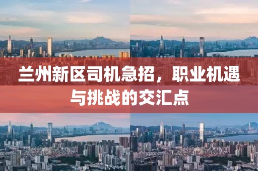 蘭州新區(qū)司機(jī)急招，職業(yè)機(jī)遇與挑戰(zhàn)的交匯點(diǎn)