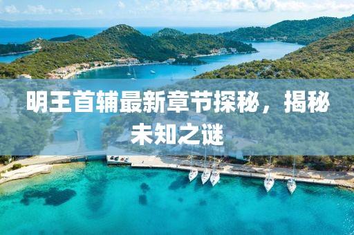 明王首輔最新章節(jié)探秘，揭秘未知之謎