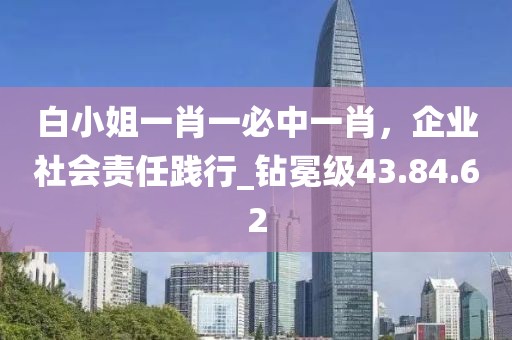 白小姐一肖一必中一肖，企業(yè)社會責(zé)任踐行_鉆冕級43.84.62