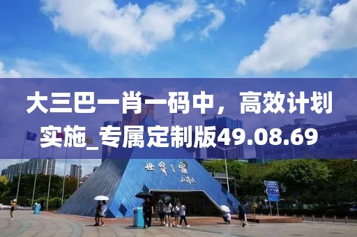 大三巴一肖一碼中，高效計(jì)劃實(shí)施_專屬定制版49.08.69