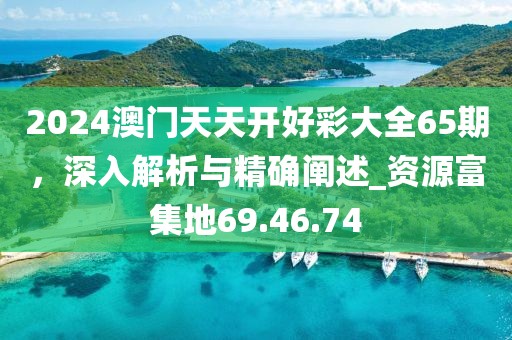2024澳門天天開好彩大全65期，深入解析與精確闡述_資源富集地69.46.74