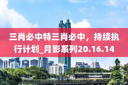 三肖必中特三肖必中，持續(xù)執(zhí)行計劃_月影系列20.16.14