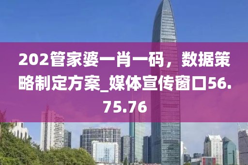 202管家婆一肖一碼，數(shù)據(jù)策略制定方案_媒體宣傳窗口56.75.76