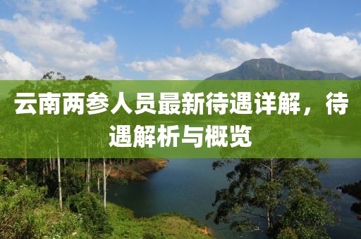 云南兩參人員最新待遇詳解，待遇解析與概覽
