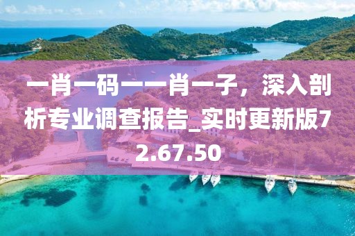 一肖一碼一一肖一子，深入剖析專業(yè)調(diào)查報(bào)告_實(shí)時(shí)更新版72.67.50