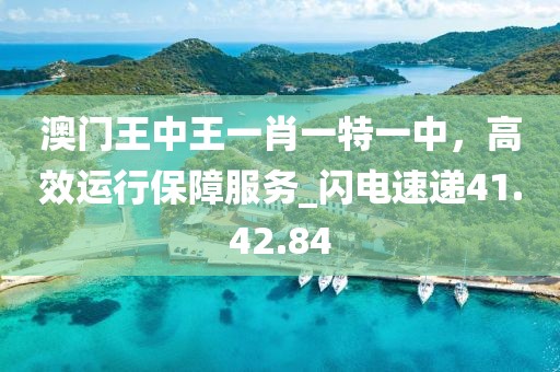 澳門王中王一肖一特一中，高效運(yùn)行保障服務(wù)_閃電速遞41.42.84