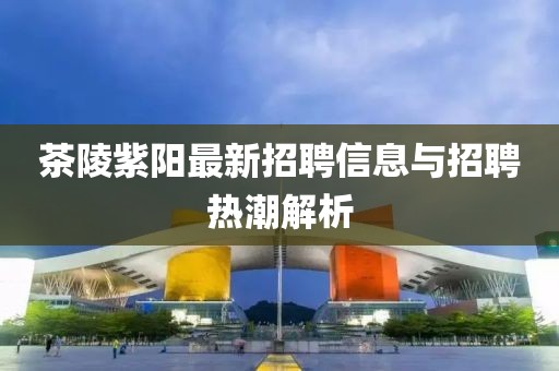 茶陵紫陽最新招聘信息與招聘熱潮解析