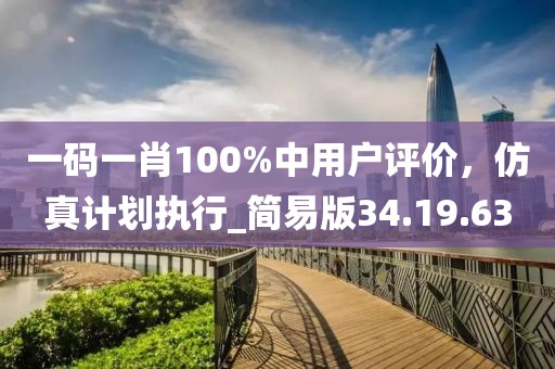 一碼一肖100%中用戶評價，仿真計劃執(zhí)行_簡易版34.19.63