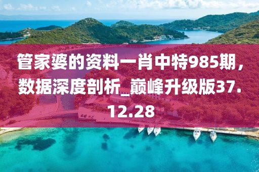 管家婆的資料一肖中特985期，數(shù)據(jù)深度剖析_巔峰升級版37.12.28