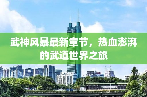 武神風(fēng)暴最新章節(jié)，熱血澎湃的武道世界之旅