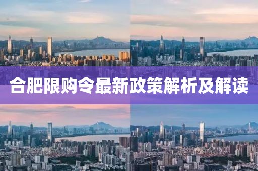 合肥限購令最新政策解析及解讀