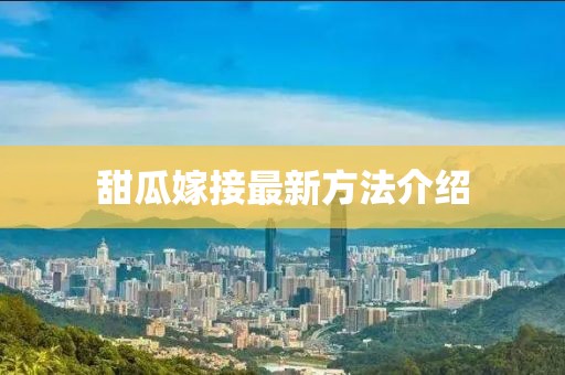 甜瓜嫁接最新方法介紹