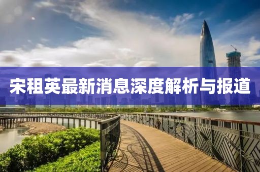 宋租英最新消息深度解析與報(bào)道